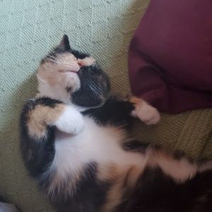 Meet your Posher, Tonya